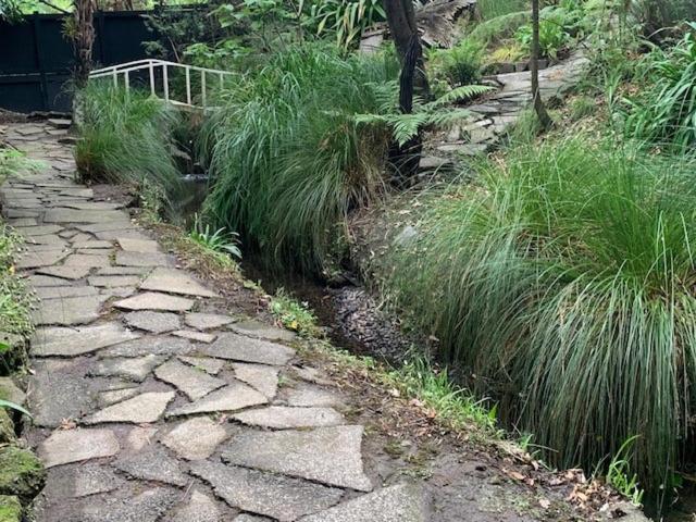 Private Guest Wing - Durie Vale Lodge Whanganui Exteriör bild